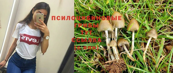 ALPHA PVP Нефтегорск