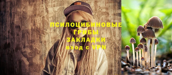 ALPHA PVP Нефтегорск