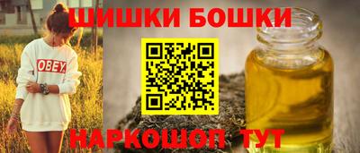 прущие грибы Кандалакша