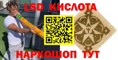 прущие грибы Кандалакша
