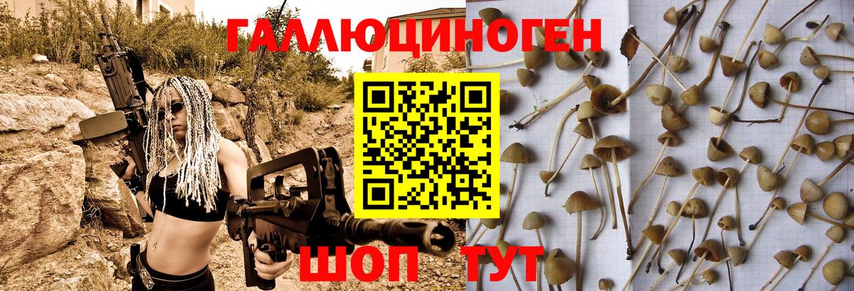 Псилоцибиновые грибы Magic Shrooms  где найти   Ливны 