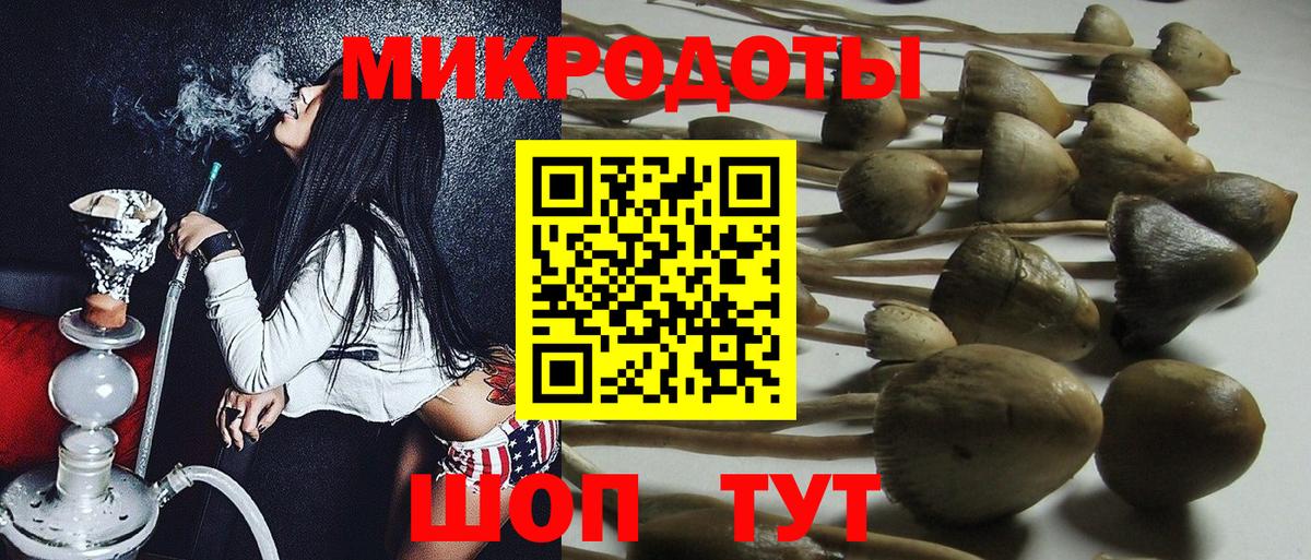 Псилоцибиновые грибы мухоморы Ливны