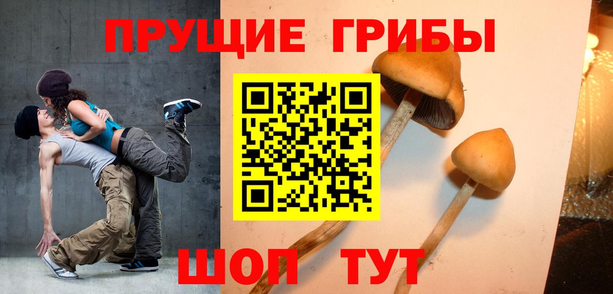 Псилоцибиновые грибы мухоморы Ливны